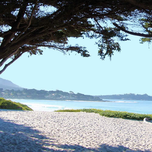 carmel beach with ocean view