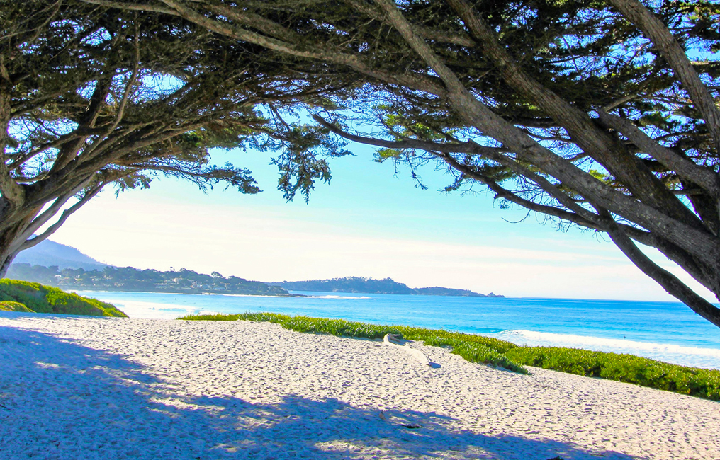 carmel-beach-2025 carmel beach